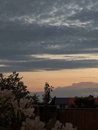 The image shows a dusk sky with layered, dark gray clouds in the upper portion, transitioning to a lighter orange and pink hue near the horizon. Silhouetted against the sky are the tops of trees, a slender plant, and parts of buildings with tiled roofs. In the foreground, out-of-focus white flowers are visible, along with a dark, rough-textured vertical element that appears to be a wall or fence post. To the right of this, a lighter, woven bamboo fence or screen is present. The scene is set outdoors, likely on a balcony or rooftop, offering a view over a residential area. The image was captured in Wettstetten, Germany.