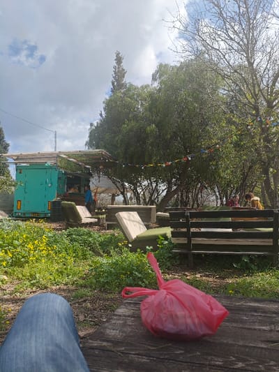 The image captures an outdoor casual dining or gathering area situated in the Galil Tachton Regional Council, Israel, under a partially cloudy sky. In the foreground, the lower portion of a person's legs, clad in blue jeans, is visible on the left. A red plastic bag, tied at its top, rests on a weathered wooden surface to the right.
The midground prominently features a teal-colored mobile food unit, likely a converted shipping container, positioned on the left side of the scene. The unit displays an Israeli license plate "68-208-91" and has a rustic wooden pergola structure built on its roof. A person wearing a blue shirt is visible near the service window of the food unit. Various outdoor seating arrangements are scattered across the area, including dark-stained wooden benches fitted with light beige and olive-green cushions. Some cushions are angled upwards. A white canopy structure is partially visible behind the seating area to the left of the food unit. Multicolored prayer flags are strung between trees on the right side of the scene.
The background is dominated by a variety of green trees, some with dense foliage and others with bare branches. In the far right background, two individuals are seated at a wooden table or bench: one wearing a reddish-brown top and the other a light brown or tan jacket. The ground throughout the visible area is covered with green vegetation, including numerous small yellow wildflowers. A tall, slender coniferous tree is visible in the distant background on the left.