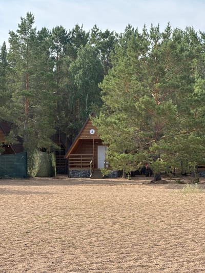 The image depicts a wooden bungalow with the number "3" on its triangular roof, situated amidst a pine forest in Ayyrtau, Kazakhstan. The bungalow has a covered porch with a wooden railing, a white door, and stone accents at its base. In front of the bungalow, there is a sandy area, possibly a beach or campground. The background is dominated by tall pine trees and some other foliage. There are other similar structures and a green fence visible to the left of the bungalow. The sky is overcast. A group of people are gathered near the bungalow in the background.