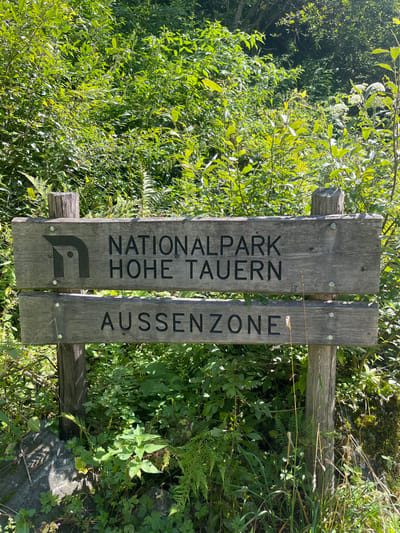 The scene displays a weathered wooden sign marking the boundary of the Nationalpark Hohe Tauern, located within its "Aussenzone" (Outer Zone), situated in a dense forest environment near Reitlehen, Austria. The sign consists of two horizontal wooden planks affixed to two vertical posts. The upper plank features the black capital text "NATIONALPARK HOHE TAUERN" with a stylized "N" logo on the left. The lower plank reads "AUSSENZONE" in black capital letters. Lush green foliage, including deciduous trees, bushes, and ferns, densely surrounds the sign, extending into the background and foreground. Bright sunlight illuminates the scene, highlighting the vegetation. No individuals are present. Rocks are visible at the base of the left signpost.