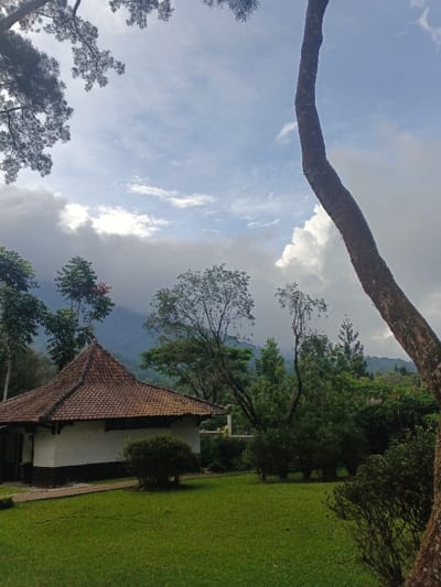 This image presents an outdoor landscape located in Thành phố Kon Tum, Vietnam. The scene is dominated by a partially cloudy sky with patches of blue visible above, while heavier grey clouds obscure the upper portions of distant mountains. In the foreground, a large, dark brown tree trunk with a distinct S-curve extends vertically along the right side of the frame, with its base out of view. In the upper left, dark green tree branches with sparse foliage extend into the frame.
In the mid-ground on the left, a single-story building with white walls and a dark brown base is visible. It features a prominent, multi-faceted, steeply pitched roof covered in terracotta-colored tiles. A narrow, light-colored pathway runs alongside the building's left facade. In front of the building, a compact, dark green shrub is neatly maintained. The lower half of the image consists of a vibrant green, manicured lawn. Beyond the lawn and building, a variety of green trees and bushes, including some with slender trunks and others with denser foliage, are scattered across the landscape. The background reveals forested mountains, partially shrouded in mist or low-hanging clouds. No persons or animals are present in the depicted environment.