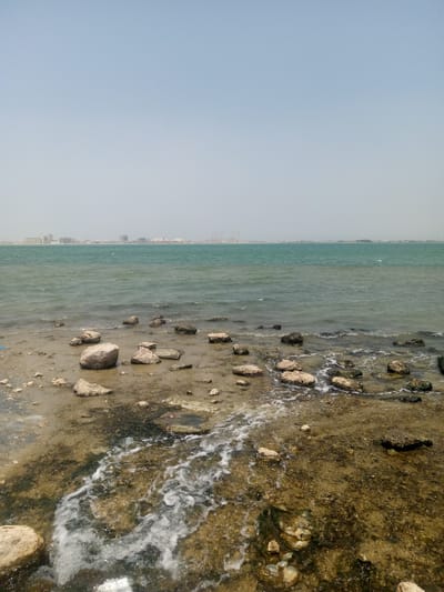 The image depicts a coastal scene in Al `Aziziyah, Saudi Arabia. The foreground features a rocky and sandy shoreline with shallow water. Numerous medium-sized rocks are scattered across the beach, some partially submerged. The water is slightly turbulent, with white foam from small waves visible. In the middle ground, the sea extends towards the horizon, displaying a greenish-blue hue. The horizon line includes a blurred cityscape with buildings and industrial structures, possibly power plants. The sky is overcast with a light gray color, indicating hazy conditions. There are no people visible in the scene.