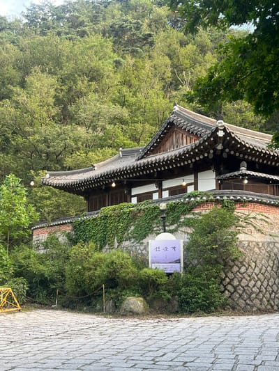 The scene depicts a traditional Korean building, identified as Seonwungak (선운각), situated in 강북구, South Korea, against a densely forested mountain slope. The two-story structure displays characteristic dark tiled roofs with upturned, decoratively fringed eaves, white upper walls, and visible dark wood framing. The building rests on an elevated position, supported by a multi-tiered retaining wall; the upper section features stone with red brick accents and a decorative cap, heavily covered in green ivy, while the lower segment consists of dry-stacked stone. A string of spherical outdoor lights is suspended beneath the building's eaves. In the foreground, a paved surface composed of irregular light-grey cobblestones extends across the lower frame. A white-topped vertical sign, bearing the Korean text '선운각' and a lower purple-hued abstract landscape image, stands at ground level near the retaining wall, partially obscured by dense green shrubbery. No individuals are present. A yellow, triangular support structure is partially visible on the far left of the paved area, connected by a dark chain or rope.