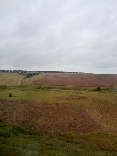 The image depicts a rural landscape under a cloudy sky. The foreground features a strip of lush green vegetation, likely a roadside or embankment, which transitions into a field of harvested crops, appearing as rows of stubble and dried plant material in varying shades of brown and green. Beyond this, rolling hills dominate the scene, with large agricultural fields displaying different textures and colors, suggesting various stages of cultivation or different crop types. A dirt road meanders through one of the fields, leading towards a distant treeline that stretches across the horizon. A solitary utility pole with wires is visible in the middle ground on the right side of the image. The overall impression is one of open, agricultural land in a tranquil, possibly overcast, setting. This scene is located in the vicinity of Topily, Russia.