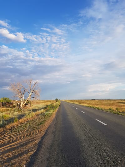 A perspective shot of a paved road receding into the distance under a wide, partly cloudy sky. The road is dark asphalt with white dashed lines marking the lanes. To the left of the road, a dry, bare tree stands near a weathered wooden fence. The surrounding landscape is a dry, grassy plain with sparse vegetation and some distant utility poles. The lighting suggests it is either early morning or late afternoon, casting long shadows across the dusty ground to the left of the road. The location is the Дөлен rural district in Kazakhstan.