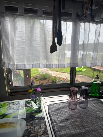 The scene is an interior view from a window, likely in a kitchen, with a blurred view of a garden outside. On the left, kitchen utensils hang on a white rack, partially obscured by a sheer white curtain. The window frames the outside view, showcasing a lawn, walkway, and various flowers. On the right, the windowsill holds a bottle of dish soap, two Coca-Cola-branded glass bottles, a grey dish towel, and a glass of water with several small flowers in it. The countertop has a pattern with coffee beans and coffee cup images. The location is implied to be Hanau, Germany, but there is no definitive evidence of this in the image.