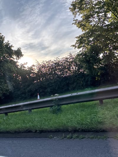 The image shows a roadside scene in South Staffordshire, United Kingdom, likely on a road such as the A51 or A518. The sun is setting or rising, casting a warm glow through the trees and illuminating the sky with soft clouds. A metal guardrail runs horizontally across the frame, separating the road from a grassy embankment. A traffic cone, white with an orange tip, stands upright on the grass. Lush green grass grows on the embankment, with a few patches of darker vegetation. The trees on either side of the frame are full of leaves, suggesting it is summer or early autumn. The road surface in the foreground is asphalt.