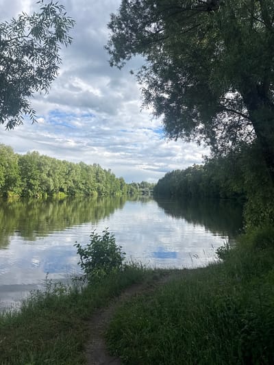 The image depicts a serene landscape scene, likely taken in the city of Sarov, Russia, given the context. It features a wide, calm river reflecting the overcast sky and the lush green trees lining its banks. The foreground is dominated by a grassy embankment with a narrow dirt path winding through it. Tall trees with dense foliage are visible on the right and framing the top left of the image, their branches casting shadows. The middle ground shows the expansive river, with its surface rippled by a gentle breeze. On the opposite bank, a dense forest stretches across the horizon, interrupted by a distant bridge. The sky is filled with a mix of grey clouds and patches of blue sky, suggesting a changeable weather day. There are no people or animals visible in the scene. The overall impression is one of natural tranquility.
