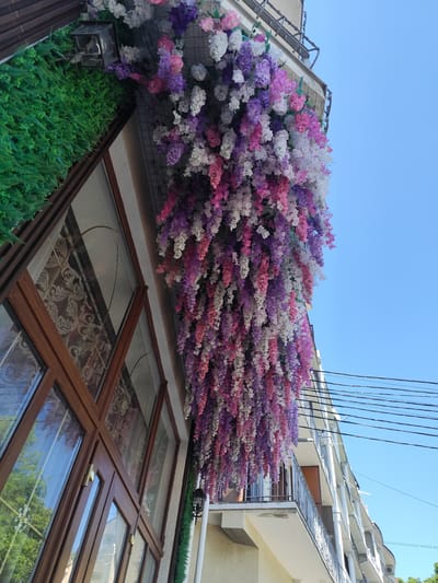 A low-angle, medium shot captures an urban scene featuring a building in Форосский поселковый совет, Ukraine, adorned with cascades of artificial wisteria. The flower displays, in shades of white, pink, and purple, hang from the building's architectural details.
To the left, a section of the building's facade is visible, including a windowed area with a brown frame. Green artificial foliage complements the floral arrangement, adding a touch of contrast. The windows reflect the surrounding environment.
The clear blue sky serves as a backdrop, with electrical wires bisecting the view in the upper right corner. The architecture of the building next door is also visible, featuring a balcony with a railing.