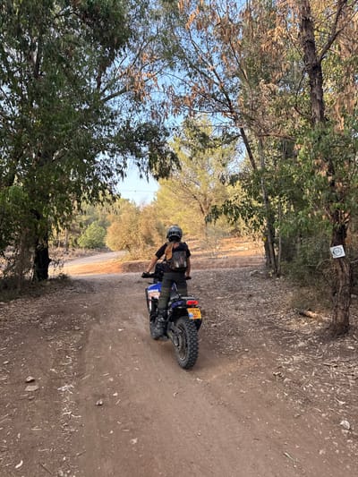 The image displays a solitary individual operating an enduro-style motorcycle on an unpaved dirt trail in a wooded environment. The rider, viewed from the rear, wears a dark short-sleeved shirt, dark riding pants, a light-colored helmet with dark accents, and a tan/brown backpack with black straps. The rider's hands are positioned on the handlebars. The motorcycle is predominantly blue and white, features "MANS" branding on its side fairing, and is equipped with prominent knobby off-road tires. The Israeli license plate visible on the rear is `L82-09-282`.

The trail is composed of reddish-brown dirt, with scattered small rocks and dry leaves. Dense vegetation, including tall trees with both green and partially browned foliage, lines both sides of the path, creating a partial canopy overhead. A white circular sign with a black bicycle symbol is affixed to a tree on the right side of the trail, indicating a designated bicycle route. In the background, additional wooded hills are visible under a clear, bright blue sky. The scene is illuminated by strong natural sunlight, casting shadows. This setting is consistent with the recreational trails found in the natural areas surrounding Modi'in-Maccabim-Re'ut, Israel, such as within the Ben Shemen Forest complex.
