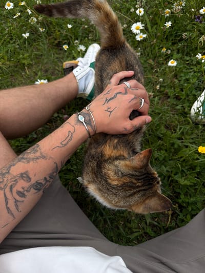 An overhead, close-up shot shows a person sitting in a grassy field with daisies, petting a calico cat. The person's left leg is visible, wearing grey pants and a white shoe with green accents. Their right arm is also visible, tattooed with various images, and adorned with a silver bracelet with a blue and white eye-shaped pendant and two silver rings. The cat is in the center of the frame, with its fur a mix of brown, black, and orange. The background is a blur of green grass and white daisies. The location is Dsegh, Armenia.