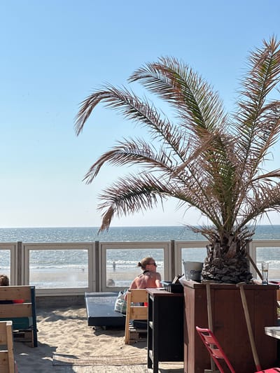 This is a medium shot of a beach bar with a palm tree in the foreground, overlooking the North Sea. The scene is set in Zandvoort, Netherlands. The image is captured on a bright, sunny day with a clear blue sky.
In the foreground, a large palm tree with sparse fronds is positioned to the right of the frame, its trunk rough and textured. Behind the palm tree, a wooden bar counter is visible, with a silver bucket that appears to be labeled "Corona" and a glass of beer. Two wooden shovels with light-colored handles lean against the counter. A bright red chair is partially visible to the right.
To the left and center of the frame, sandy ground is covered with wooden planks and some discarded materials. Two wooden benches with light-colored slats are in the foreground. Between these benches, a dark-colored lounge chair is placed on the sand, with a patterned bag resting on it.
In the middle ground, a glass enclosure with horizontal wooden beams separates the beach bar area from the beach. Through the glass, the sandy beach and the sea are visible. Several people are scattered on the beach and in the shallow water. Two individuals are in the water, and another is walking towards the shore.
In the background, the vast expanse of the shimmering blue North Sea stretches to the horizon, meeting the pale blue sky.
A woman with her back to the camera is seated in the beach bar area, wearing sunglasses and her hair tied up. She is partially tanned and appears to be looking out at the sea. Another person with blonde hair is visible to the far left, also with their back to the camera.
