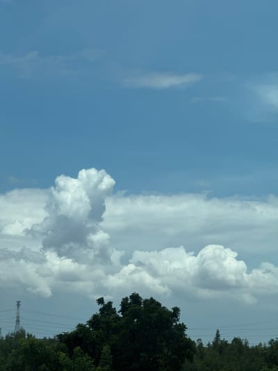 The image depicts a wide shot of a cloudy sky over a lush green landscape in Sông Lũy, Vietnam. The sky is a vibrant blue, dotted with various types of clouds, ranging from wispy cirrus formations high above to dense, puffy cumulus clouds closer to the horizon. In the foreground, a dense canopy of dark green trees stretches across the bottom of the frame, obscuring the ground. To the left, a tall, slender electricity pylon stands amidst the trees, with power lines extending horizontally across the scene. The overall impression is one of a natural landscape bathed in daylight, with elements of human infrastructure subtly integrated.