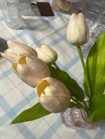 The image shows a close-up of a bouquet of light pink tulips in a clear, ridged glass vase. The tulips are mostly closed buds, with some showing a glimpse of a yellow interior. The background is a blue and white checkered tablecloth. To the left of the tulips, out of focus, are two clear, textured glasses and a small brown rectangular object. The scene appears to be indoors, on a table, with soft lighting. There is no identifiable location in Nonsan-si, South Korea.