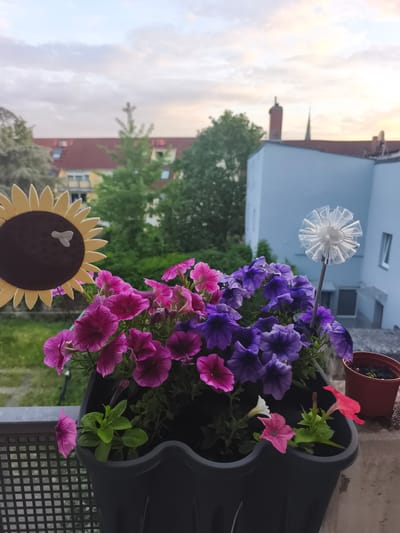 This is a vertical, eye-level, medium shot of a balcony in Ludwigshafen am Rhein, Germany, with blooming petunias in a dark gray planter. The planter is in the foreground, filled with vibrant pink and purple petunias, some with darker centers. To the left of the planter, a decorative yellow sunflower with a brown center and a white bee design is visible. To the right of the planter, a white, translucent decorative pinwheel is stuck in the soil. Behind the planter, a gray metal railing runs horizontally, with a black plastic grate attached. In the background, a pale blue building with white trim and windows is prominent. Beyond that, red-roofed buildings and green trees are visible under a cloudy sky with hints of pink and orange, suggesting either sunrise or sunset. A small terracotta pot with a seedling is to the right of the planter. The scene appears to be a residential balcony.
