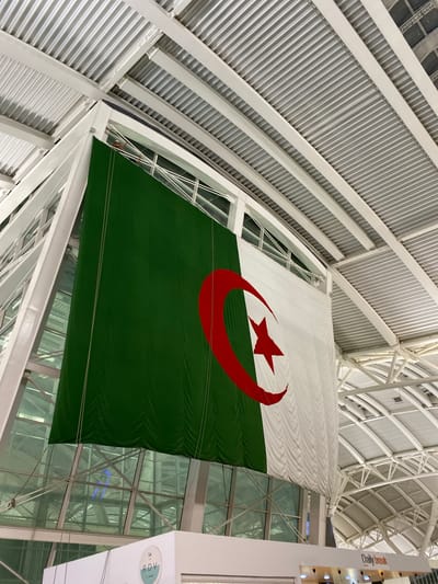 The image shows a large Algerian flag hanging from the ceiling of an indoor space. The flag is composed of two vertical halves: green on the left and white on the right, with a red crescent and star in the center. The ceiling is made of white metal beams and corrugated metal panels. Large glass windows are visible behind the flag, allowing natural light to enter the space. In the foreground, a white structure with some signage is visible at the bottom of the image. The overall impression is of a modern building interior, possibly an airport terminal or exhibition hall. The location is identified as Dar El Beïda, Algeria.