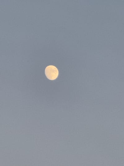 The image is a photograph of the moon in a pale gray sky. The moon is a bright, luminous orb, appearing partially illuminated. Its surface texture is visible, suggesting craters and other lunar features. The sky is a uniform color, devoid of clouds or other celestial bodies, indicating a clear but possibly hazy or overcast atmosphere. The overall impression is one of a serene and quiet moment, with the moon serving as the sole focal point. The image is taken from ground level, looking upwards. There is no visible text in the image.