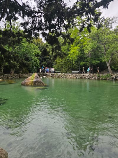 This image shows a body of green water next to a stone embankment, surrounded by trees. Several people stand on the embankment. Raindrops create ripples on the water surface. A large, pointed rock partially submerged in the water is visible near the shore. The location is likely in Алупкинский городской совет, Ukraine, based on the provided context.