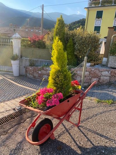A red wheelbarrow filled with bright pink flowers and greenery sits on a gravel surface. Behind the wheelbarrow, a wall made of rough, pinkish stones forms a border. Beyond the stone wall, there is a green metal fence, and further back, a white planter. In the background, there are houses with tiled roofs, a bright yellow building, and lush green trees. Mountains are visible in the distance under a clear blue sky. The scene appears to be an outdoor setting in a residential area, possibly in the city of Caprino Veronese, Italy, given the architectural style and vegetation. The lighting suggests it is daytime, with shadows cast by the wheelbarrow and surrounding elements. There are no people visible in the image.