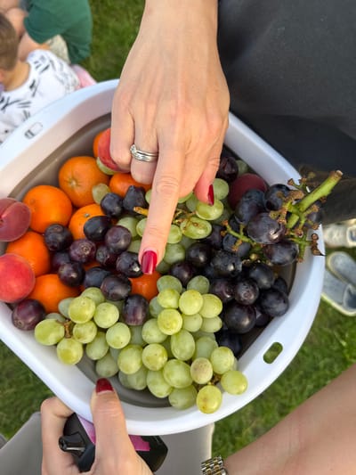A person holds a white plastic tub filled with fruit. The fruit consists of black grapes, green grapes, oranges, and peaches. One hand with red nail polish is pointing towards the fruit. Another hand with a gold and silver wristwatch is holding the tub. The background includes grass and parts of other people. The location is Кузнецово, Russia.
