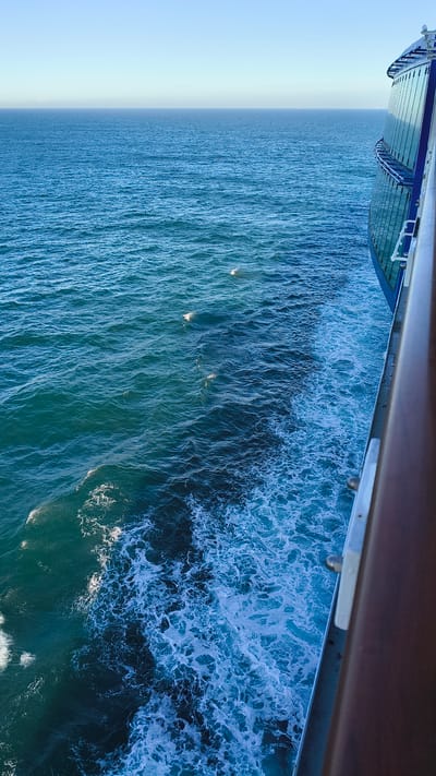 The image captures a view from the side of a cruise ship sailing on a calm, blue ocean under a clear sky. The ship's railing and a portion of its blue-tinted glass structure are visible on the right side of the frame, extending upwards and to the right. The ocean surface is a gradient of blues, with lighter turquoise near the ship and deeper blue towards the horizon. A distinct wake of white foam trails behind the ship, creating a sharp contrast with the darker, undisturbed water. A few small, white objects, possibly seabirds or debris, are scattered on the water's surface in the mid-distance. The horizon line is clearly defined, separating the sea from the pale blue sky. The location is unknown, but the setting implies open sea travel, possibly in a temperate climate given the light.