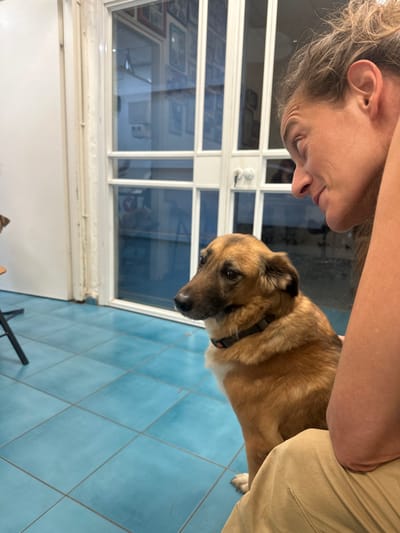 A forensic examination of the image reveals a candid interior scene in Kfar Vitkin, Israel, featuring one human and one canine subject.
The human subject, positioned on the right, appears to be an adult female with light-colored skin and long, wavy brown hair pulled back. Her face, visible in profile, shows a slight smile or relaxed expression, with her gaze directed downwards and towards the left, presumably at the dog. She is wearing light-colored, possibly tan or khaki, trousers, and a dark-colored top is partially visible on her upper arm. Her right forearm and elbow are visible in the foreground, suggesting she is seated or leaning.
The canine subject is a medium-sized dog with a tan and dark brown coat, possessing features consistent with a mixed breed, possibly a German Shepherd mix. Its fur is darker around the muzzle and ears, and lighter tan on the body, with a white patch on its chest. The dog is wearing a dark-colored collar with a light-colored buckle and is seated upright on its haunches, facing left and slightly away from the human subject, with its head turned to the left. Its eyes are partially visible, appearing to look forward or slightly down.
The environment consists of a room with light blue square tiles covering the floor. In the background, a white-framed glass double door or large window divides the current space from an adjacent room. Through the glass, reflections are visible, including what appears to be a collection of framed pictures or artwork on a wall in the background, along with an indistinct reflection of a person or object. The hardware for locking the doors is visible on the right door panel. To the far left, a portion of a dark-colored metal object, possibly a chair leg or stool, is partially visible. The overall lighting suggests an indoor setting with ambient light.