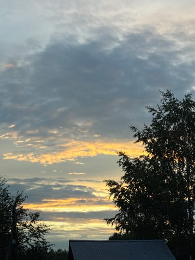 The image captures a dramatic sky filled with a mix of gray and golden clouds. The sun is low, casting a warm glow on some of the clouds, creating vertical streaks of light against the darker sky. In the foreground, the dark silhouette of tree branches, some with leaves, frames the scene from the left and bottom right. On the far right, the corner of a dark, corrugated metal roof of a building is visible, suggesting an outdoor setting near a structure. The overall mood is serene and picturesque, hinting at either sunrise or sunset. The time of day is clearly indicated by the low sun and the colors in the sky. The weather appears partly cloudy, with the sun breaking through. There is no visible text in the image.