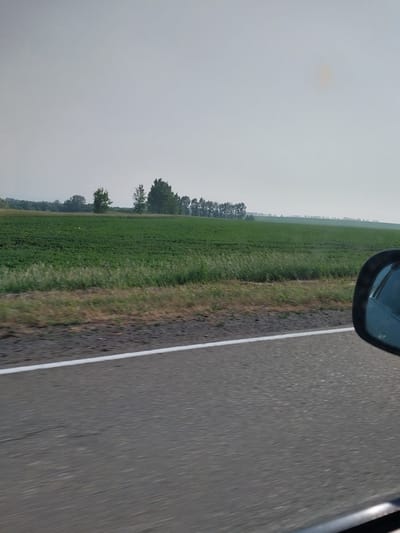 The image depicts a scenic view of a rural landscape, likely in the vicinity of Sychevka, Russia. The foreground features a paved road with a white dividing line, indicating it is a travel route. To the right, a car's side mirror is visible, suggesting the photograph was taken from inside a moving vehicle.
Beyond the road, a vast, green agricultural field stretches into the distance. The field appears to be cultivated with crops, likely soybeans or a similar low-lying plant, exhibiting a uniform green hue. A strip of wild grass and vegetation separates the field from the road.
In the middle ground, a line of trees forms a natural border on the horizon, adding depth to the scene. The trees are varied in size and type, with some appearing taller and more mature than others. The sky above is overcast and a hazy, pale gray, with a faint, undefined circular shape that might be a distant sun obscured by clouds or atmospheric conditions. The overall atmosphere is calm and serene, characteristic of a countryside setting. There are no people or animals clearly visible in the frame.