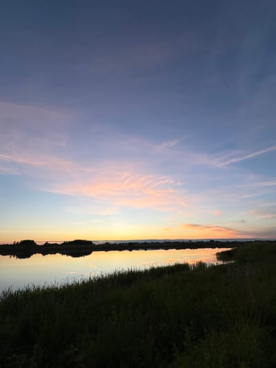 An atmospheric sunset over a tranquil body of water in Sapunov Bor, Russia, paints the sky with soft hues of pink, orange, and blue. Wispy clouds streak across the upper atmosphere, catching the last rays of sunlight. The still surface of the water perfectly mirrors the vibrant sky and the dark silhouettes of distant trees and buildings lining the opposite shore. In the foreground, tall, dark green grass grows along the water's edge, creating a stark contrast with the illuminated sky and its reflection. No people are visible in this serene natural landscape.