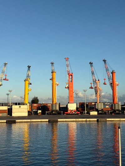 The image displays a bustling container port in Papeete, France, under a clear, bright blue sky. Six large mobile harbor cranes are positioned along a concrete quayside, with their colorful structures prominently reflected in the calm, dark blue water of the harbor in the foreground.

From left to right, the cranes vary in color: the leftmost partially visible crane is white, yellow, and red; the next two are predominantly yellow; and the three on the right are primarily orange and red. Several cranes are equipped with container spreaders, indicating readiness for or active cargo handling. Crane "2" is visibly numbered on its mast. Behind the cranes, numerous shipping containers are stacked, bearing identifiable logistics company logos such including "MSC," "MAERSK," "CMA CGM," and "APL." Utility poles with lights are visible along the dock, and a few tropical trees are present in the background. No individuals are depicted within the scene. The lighting suggests either early morning or late afternoon, casting distinct shadows and warm light on the cranes and containers.