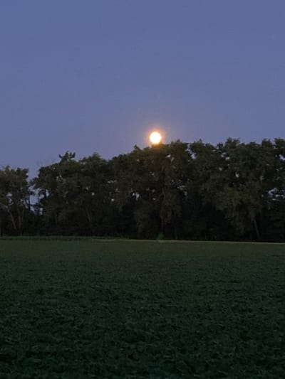 The image shows a full moon shining in a twilight sky above a dense line of trees. In the foreground, there is a large, dark green field. The overall scene is tranquil and rural. The image does not provide any visual information that would allow for the identification of the city of Ivanhorod, Ukraine.