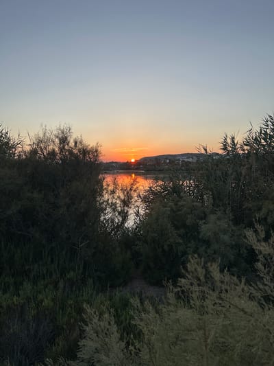 The image depicts a sunset over a body of water, possibly a lagoon or estuary, with vegetation in the foreground. The sky is a gradient of pale blue to soft orange near the horizon, where the sun is partially visible as a bright, orange orb. The water reflects the warm colors of the sunset, creating a shimmering surface. Dense green and brown vegetation, consisting of shrubs and reeds, frames the water from the left, right, and foreground. In the distance, across the water, there is a low-lying landscape with buildings and some scattered palm trees. The overall impression is a natural landscape at dusk. This scene is consistent with the coastal areas of Playas de Vera, Spain, known for its natural parks and wetlands, such as the Parque Natural de la Albufera de Adra, which is close to Vera and features similar coastal vegetation and water bodies.