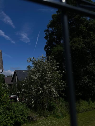 The image depicts a residential scene, likely in Liberec, Czechia, viewed through a dark, vertical obstruction, possibly a fence or railing. The sky is a vibrant blue with thin, wispy clouds and a prominent contrail. In the mid-ground, several houses with dark-tiled roofs are visible, partially obscured by lush green foliage. A flowering tree with small white blossoms stands prominently in the center-right of the frame. To the left of the flowering tree, a white SUV and a dark-colored vehicle are parked amongst dense greenery. The foreground consists of a grassy area dotted with small white flowers and a weathered wooden cart with a green hose coiled beside it. The overall impression is that of a tranquil, overgrown suburban or rural setting on a sunny day.