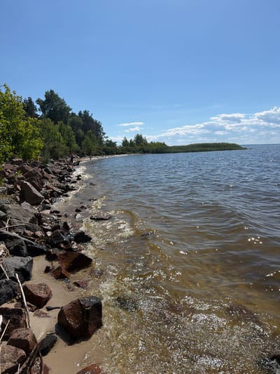 The image depicts a serene shoreline on a sunny day. The foreground is dominated by a rocky beach with large, dark-colored stones and some sandy patches. The water's edge is visible, with gentle waves lapping against the rocks, creating a shimmering effect due to the sunlight. Beyond the rocky shore, there is a sandy area with some vegetation.

In the middle ground, a body of water stretches out, appearing calm with small ripples reflecting the bright sky. On the left side of the frame, a line of trees forms a dense treeline along the coast. Further down the shoreline, a few people can be seen near the water, appearing to be enjoying the day. One person is standing by the water's edge, while others are further out in the shallow water. In the distance, a spit of land covered in dense reeds juts out into the water.

The background is characterized by a vast, clear blue sky with a few scattered white clouds. The overall atmosphere of the image is peaceful and natural, suggesting a recreational area by a large body of water. The location is identified as the city of Lyutizh, Ukraine.