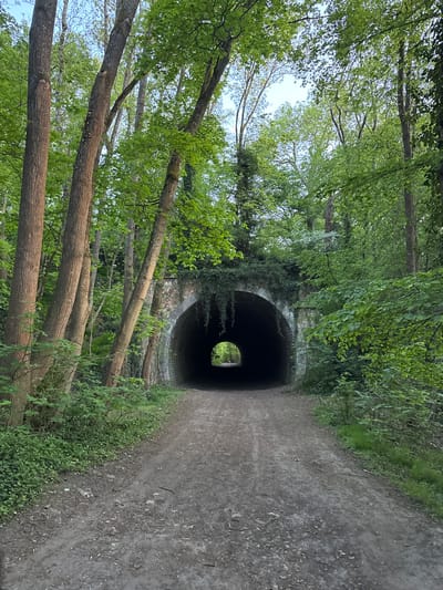 This vertically oriented image captures a tranquil outdoor scene featuring a path leading into a tunnel, enveloped by lush greenery. A dirt or gravel path runs along the right side of the frame, guiding the eye directly into a dark, arched tunnel entrance.
The tunnel's facade appears to be constructed from stone or brick, partially obscured and heavily adorned with vibrant green ivy and other dense foliage that also blankets the ground and structures around it. Overhanging branches with fresh, light green leaves frame the upper section of the tunnel opening. Deep within the darkness of the tunnel, a small, circular, bright opening is visible, indicating light from the exit and suggesting passage through to another area.
On the left side of the path, several mature tree trunks rise, their branches extending upward and outward, contributing to a dense canopy of bright green leaves that fills the upper-left and central portions of the image. The overall impression is one of a secluded, verdant natural environment, possibly a walking or cycling trail.
No people or visible activities are depicted. The bright lighting suggests it is daytime, likely late morning or early afternoon, under clear weather conditions. The abundant, fresh green leaves indicate spring or early summer. The tunnel's appearance, partially overgrown, hints at an older, possibly disused structure repurposed for recreational use. Given the location context, this scene is situated in Bures-sur-Yvette, France. No visible text is present in the image.