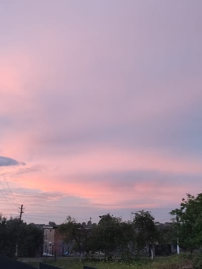 A vertical, low-angle, full shot captures a twilight sky over Velykyi Zhytyn, Ukraine. The sky is a soft, diffused gradient of pink and lavender. In the distance, the silhouettes of trees and buildings, including a brick structure that appears to be under construction, are visible. Power lines traverse the upper portion of the frame, supported by a utility pole on the left. The foreground shows grass and some vegetation.