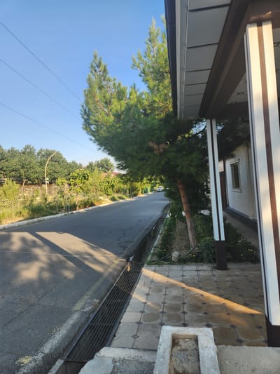 The image depicts a street scene in the city of Xidirsho, Uzbekistan. A paved road runs diagonally from the lower left to the upper center of the frame. On the left side of the road, there is a concrete curb and a metal grate leading to a drainage ditch. Beyond the ditch, there is a sidewalk with patterned paving stones. A residential building with white walls and brown and white vertical trim is visible on the right side of the sidewalk. A large pine tree with green needles is situated between the road and the building, casting shadows on the road and sidewalk. The background features lush green trees and vegetation, a fence, and a clear blue sky. A white vehicle is parked on the road in the distance. The lighting suggests it is daytime, likely morning or late afternoon, due to the long shadows. There are no people visible in the image.