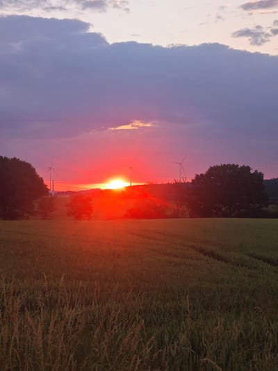 This vertical, medium-shot image captures a vibrant sunset over a rural landscape, likely on the outskirts of Lügde, Germany. The sky is a dramatic canvas of deep purple and pink hues, with a brilliant, fiery red glow emanating from the setting sun. Several clouds are present, ranging from dark, heavy formations to lighter, wispy ones.
In the midground, a field of tall, green grass, possibly wheat or barley, stretches across the frame. The setting sun casts a warm, reddish-orange light over this field, creating a hazy and ethereal atmosphere. Silhouetted against the bright sky are several wind turbines, the iconic symbols of renewable energy, along with what appear to be industrial smokestacks in the distance. The silhouettes of trees, some dense and dark, frame the scene on the left and right. The overall impression is one of serene natural beauty, juxtaposed with human technological presence.