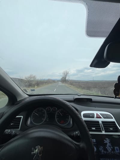 An interior shot from the driver's perspective depicts the vehicle in motion on a two-lane asphalt road under an overcast sky in Golyam Manastir, Bulgaria. The steering wheel, featuring a Peugeot emblem and a black cover with red stitching, dominates the foreground. The instrument cluster indicates a speed of approximately 60 km/h, with a digital display showing "07:51" and "19:04". The center console displays air vents, a hazard light button, and an infotainment screen showing a Peugeot logo and "MOTION & MOTION". A dark air freshener hangs from the rearview mirror assembly.
Through the windshield, a straight road recedes into the distance. The immediate roadside on the left features a grassy bank and bare trees, some exhibiting early blossoms. On the right, expansive, fallow fields of dark soil extend to a distant horizon with faint hills. A solitary, bare tree stands prominently on the right side of the road, with a utility pole further in the distance. The sky is uniformly gray with cloud cover. No individuals are visible in the scene.