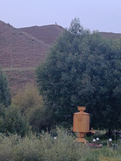 The image captures a natural landscape with a large, yellow, metal samovar prominently positioned in the foreground. The samovar has a distinctive cylindrical body with a spout and a lid on top. It stands amidst lush green foliage, with several spherical lights visible behind it, suggesting it might be a decorative feature in a garden or park. In the mid-ground, a dense cluster of trees forms a dark green backdrop. The background features a gently sloping, barren hill with some sparse vegetation and a single utility pole. The sky is overcast and pale. The scene appears to be set in a rural or semi-rural location, possibly in the city of Naryn, Kyrgyzstan, given the resemblance to the steppe-like terrain often found in the region. No people or animals are visible in the image.
