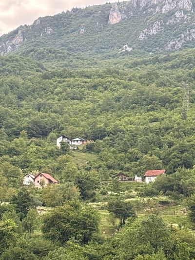The image depicts a hillside in Brijeg, Montenegro, heavily forested with green trees. Several houses are nestled amongst the trees. The roofs are red. The houses are of varying size and design, but all appear to be single-family dwellings. A rocky cliff face is visible on the left side of the image. Power lines run through the trees.