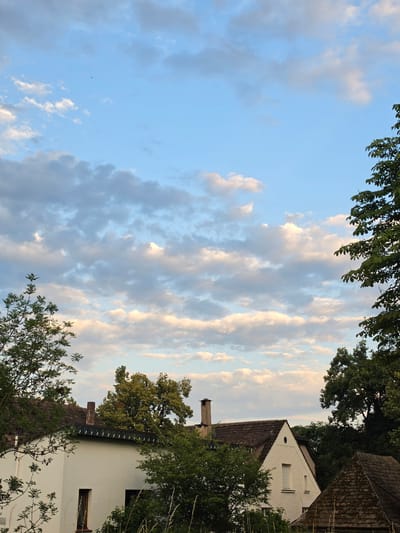 The image depicts a view of houses with tiled roofs and trees against a sky with scattered clouds during what appears to be either sunrise or sunset. The sky is a soft blue with white and light gray clouds, some tinged with pink and orange hues. A small, dark bird is visible as a silhouette against the sky in the upper left quadrant.
In the foreground, the roofs of several houses are visible. One house on the left is predominantly white with a dark tiled roof and a visible window. Another house, more central and slightly further back, is white with a prominent gable and a smaller window. It has a chimney with a weathered appearance. To the right, another darker, moss-covered roof is partially visible. Green trees, with varying degrees of foliage density, frame the scene on the left, right, and behind the houses. The trees suggest a suburban or semi-rural environment.
The image does not contain any people or visible actions. The overall impression is one of a peaceful evening or morning in a residential area. The city of Höxter, Germany, is not directly identifiable from the visual elements alone, but the architectural style of the houses and the prevalence of greenery are consistent with many European towns.
