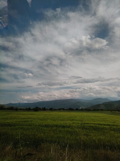 The image depicts a rural landscape near Biaga, Bulgaria. A wide, green field dominates the foreground, likely a crop of grain due to the texture. Beyond the field, a line of trees and foliage separates the field from a range of low mountains in the background. A series of power lines are visible spanning across the tree line and the mountains. The sky is filled with grey and white clouds, indicating overcast conditions. The vantage point is low, suggesting the photograph was taken from ground level or a low vehicle. There is a partial reflection visible in the upper-left corner of the frame, suggesting the photograph was taken from inside a vehicle. No people are visible. The vegetation in the immediate foreground appears wild and uncultivated.