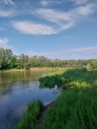 This is a landscape photograph taken outdoors, likely in a rural setting near Chkalov, Russia. The image depicts a calm river flowing through a natural environment. On the right side of the river, tall green grass grows abundantly, bordering the water. On the left side of the river, a dense forest with various types of trees lines the bank. The sky above is a clear blue with wispy white clouds, suggesting it's daytime with fair weather. The water reflects the sky and the surrounding greenery, creating a peaceful and serene atmosphere. There are no people or man-made objects visible in the image, emphasizing the natural beauty of the scene. The lighting indicates it is likely late afternoon or early evening, as the sun casts shadows across the grass.