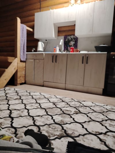 The image depicts the interior of a rustic kitchen area, likely within a log cabin, given the visible wooden log walls and ceiling. The kitchen features light-colored cabinetry with modern handles and a white countertop. On the counter, a white electric kettle, a faucet, and a red cup are visible. Above the counter, a framed image of a woman's face is displayed. To the left of the counter, a wooden staircase with a purple towel hanging on it is partially visible. The floor is covered with a patterned rug featuring a repeating quatrefoil design in beige and black. In the foreground, the dark silhouette of a cat is visible on the rug, partially obscured by blankets. The scene suggests a domestic, possibly rural, setting. The location is specified as Gorshki, Russia.