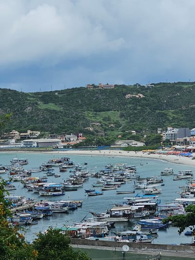 The image displays a panoramic, elevated view of Praia dos Anjos bay in Arraial Do Cabo, Brazil, under an overcast sky.
The upper portion of the image shows a uniform light gray cloud cover. In the background, steep hills rise, densely covered in green vegetation, including numerous cactus-like plants and shrubs. Several residential buildings, characterized by varied architecture and roof styles (some red-tiled), are situated on these hills, with utility poles and power lines visible along the slopes.
At the base of the hills, along the coastline, is a mix of urban structures. These include multi-story buildings, smaller single-story establishments, and a distinctive larger building with a white facade and blue accents, featuring multiple arched windows.
The midground features a wide, crescent-shaped sandy beach, light in color, populated by numerous individuals. People are observed walking, standing, and congregating on the sand. A significant section of the beach is lined with rows of colorful beach umbrellas (yellow, red, blue, green) and associated beach chairs. Multiple individuals are visible swimming in the light blue-green water near the shoreline.
The bay's calm, light blue-green water is densely filled with a large fleet of small to medium-sized boats. These vessels are predominantly identified as fishing boats and passenger tour boats, many equipped with sun canopies or upper decks. The boats display various colors, with white and blue being prominent. They are either anchored within the bay or moored alongside a visible concrete pier located in the lower-left portion of the bay. Some individuals are discernible on the decks of certain boats.
The immediate foreground contains dark green foliage, some with yellow blossoms, indicating the vantage point is partially obscured by vegetation. A concrete structure or wall is also partially visible in the lower foreground.