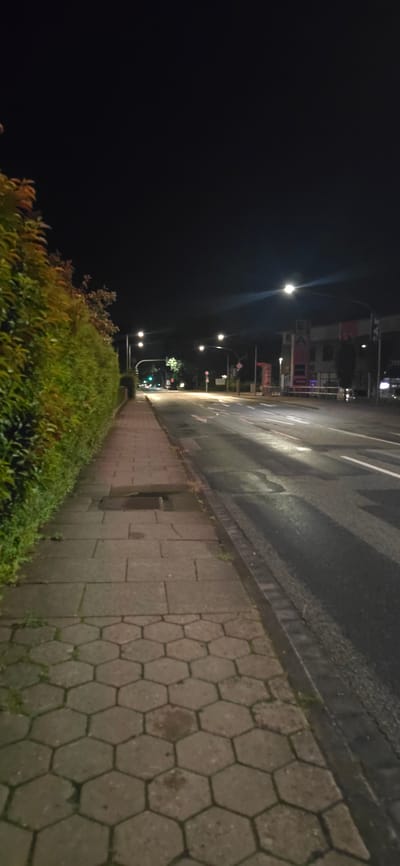 The image captures a street scene at night in Seevetal, Germany. A sidewalk paved with hexagonal and rectangular concrete tiles runs along the left side of the frame, bordered by a dense, green hedge. The street itself is asphalted and appears wet, with lane markings visible. Streetlights illuminate the road, casting reflections on the wet surface. In the distance, traffic lights are visible, one displaying a green light. Buildings with illuminated signs are situated on the right side of the street. The sky is dark, indicating nighttime. No people are visible in the image.