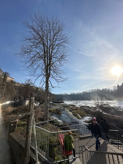 The image depicts a daytime scene at the Rhine Falls in Neuhausen am Rheinfall, Switzerland, under a clear blue sky with sparse, wispy clouds. The sun, a bright luminous sphere, is positioned in the upper right, casting strong light and a notable lens flare in the lower left foreground.
In the foreground, a gray concrete barrier is visible on the far left. A silver-colored metal railing, composed of vertical bars and a horizontal handrail, extends diagonally from the bottom-left towards the mid-right. A wooden support post is attached to the concrete wall. Two individuals are present on a paved area with stairs to the right of the railing. One person, wearing a green winter jacket, is seated on a red bench, facing away from the camera and towards the waterfall. Another person, dressed in a dark jacket and a pink knitted beanie, walks down stone steps, facing right. A third person, mostly obscured behind the second, is also descending the steps.
The midground features a prominent, bare deciduous tree with a brown trunk and numerous fine branches, centered in the frame. To its right, the Rhine River flows, characterized by powerful white rapids and cascades over a rocky, moss-covered riverbed. The water is churning, creating foam and mist.
In the background, a multi-story building with a light-colored facade is visible on a hillside on the far left. Further across the river, a dark, multi-arch bridge or viaduct spans the width of the river, connecting tree-lined banks. On the far right, a dark architectural structure, possibly a castle, is partially visible on a distant hill, silhouetted against the bright sunlight. The surrounding landscape consists of hills covered with bare deciduous trees and some evergreen vegetation.