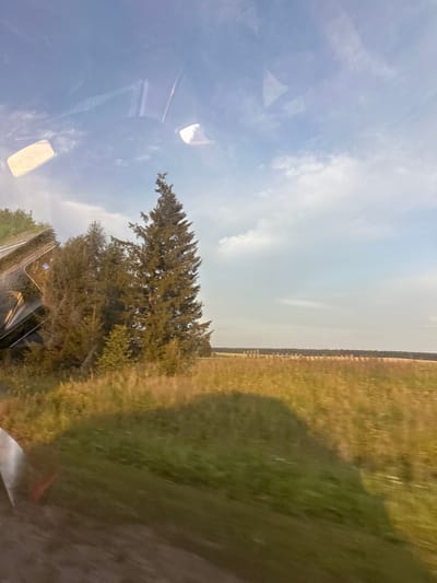 The image depicts a rural landscape likely taken from inside a vehicle. The foreground shows reflections on a glass surface, possibly a car window, revealing parts of the vehicle's interior, including lights and mirrors, against a backdrop of a blue sky with scattered clouds. Beyond the reflections, a field of tall, dry grass and some green vegetation stretches towards a line of trees. In the distance, a dense forest forms the horizon, under a pale blue sky. The scene appears to be set during daylight, possibly late afternoon, given the quality of light and shadows. There are no visible people or animals in the image. The location is identified as Ryabinovka, Russia, suggesting a natural, undeveloped environment.