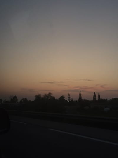 The image captures a landscape under low light conditions, characteristic of twilight. The upper sky is a muted blue-gray, gradually transitioning to a peachy-orange hue towards the horizon. Sparse, elongated cloud formations are present in the middle sky. A prominent dark silhouette of vegetation, including several tall, conical trees and dense shrubbery, forms the horizon line. Within this silhouette, indistinct dark structures are discernible. The foreground consists of a dark asphalt road featuring a single white solid lane marking. A dark, horizontal barrier or guardrail runs parallel to the road. A portion of a dark vehicle side-view mirror is visible in the lower-left, indicating the perspective is from inside a vehicle. This scene depicts a major road environment, such as a section of the A-7 highway, situated within or directly adjacent to the municipality of Crevillent, Spain, looking over its agricultural or undeveloped periphery.